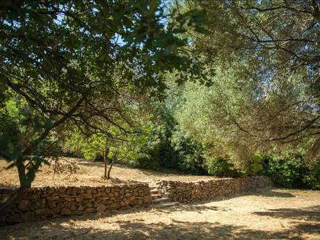 Plaine de Jeu Salmon