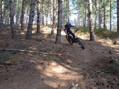 Sortie VTT musculaire et VTT à Assistance Electrique avec GoupilAventure