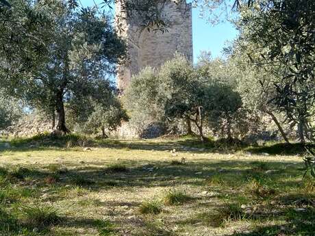 Tour du Mont d'Or