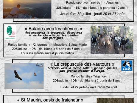 Sorties accompagnées "Coucher de soleil sur les Gorges"