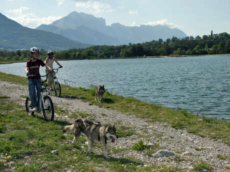 Alpi-Traineau: Summer Cani-Rand'O and Cani-Train'O