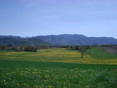 Le Trésor de Gigi, Sentier ludique