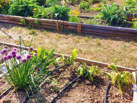 Porte ouverte aux Jardins Familiaux