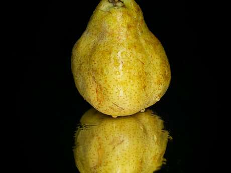 The Sarteau pear, travelling to Draix