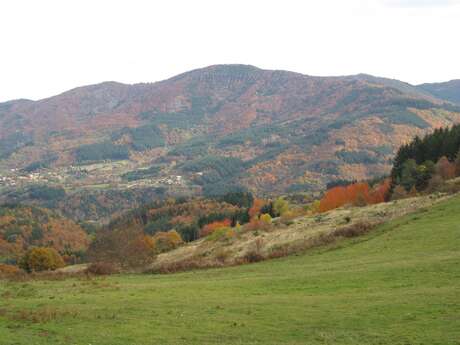 Circuit des fermes (N°16)