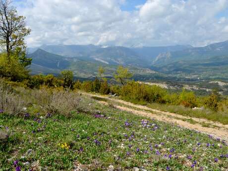 COMPS SUR ARTUBY - Trigance - Le tour de l'Artuby -