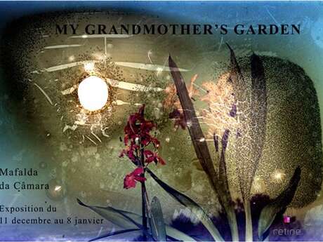 My grand mother's garden