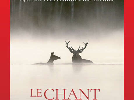 Le Chant des forêts