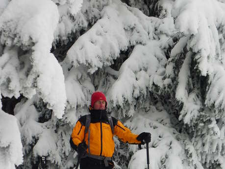 Sortie raquettes "Dans l'aire de l'aigle"