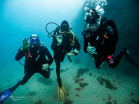 Be Free to Dive - Centre de plongée