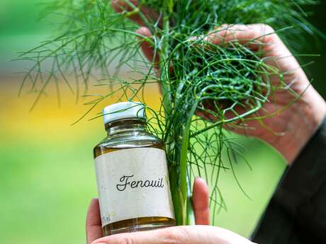 Visite spéciale à la Maion Ferroni : Elaboration de Pastis