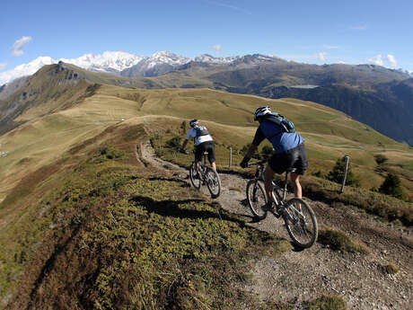 Giro in mountain bike con la supervisione di un istruttore
