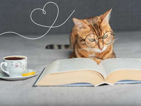 Les coups de cœur du Chat