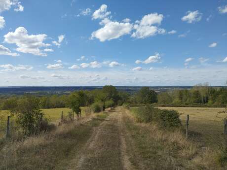 PR7bis Circuit Sur le Chemin de Montavent - Givarlais PR7bis Circuit Sur le Chemin de Montavent - Givarlais