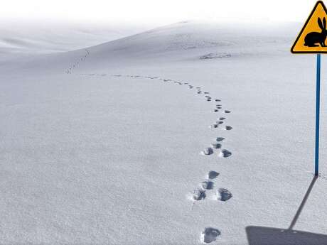 Accompagnez un Garde-Moniteur à la recherche des traces de la faune en hiver