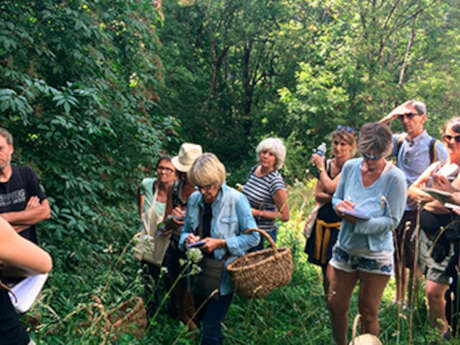 Visite Guidée du Jardin