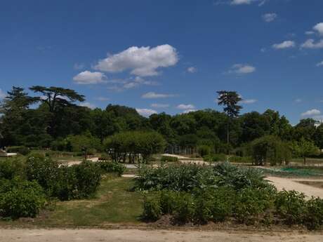 Exposition Les Plantes potagères au goût du jour