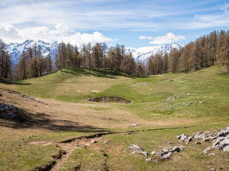 Trail N°23 - Les Têtes par la Pignée