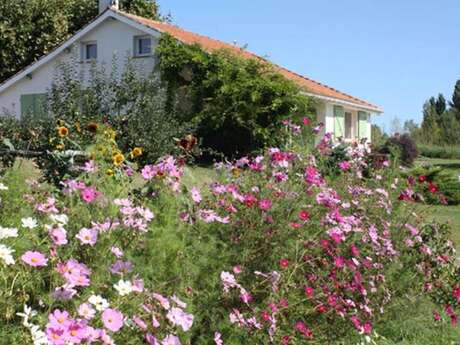 Gîte "Vallée de la Lupte"