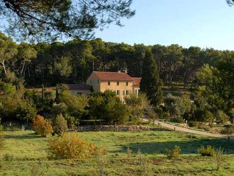 LE BEAUSSET - Tête de Cade