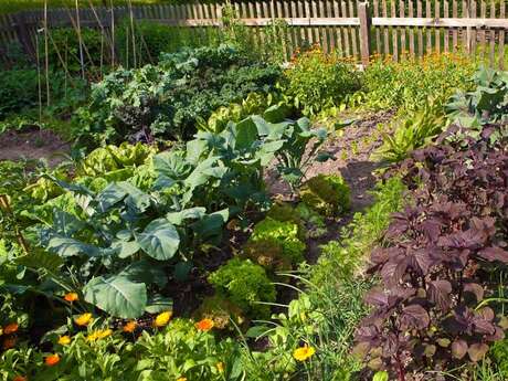 Atelier nature - Des clefs pour un jardinage écologique