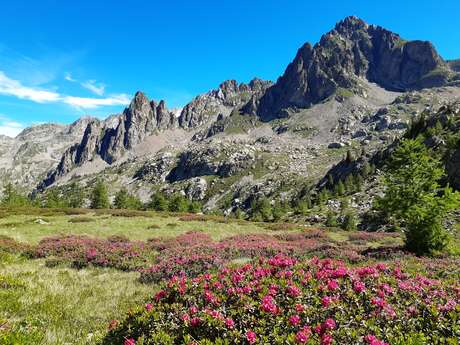 Rencontre avec un garde : lumières sur le Parc national du Mercantour