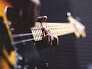 MUSIC'LAB : À LA DÉCOUVERTE DE LA GUITARE BASSE