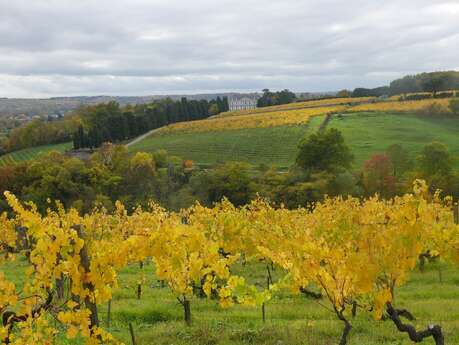 Clos de la Coulée de Serrant