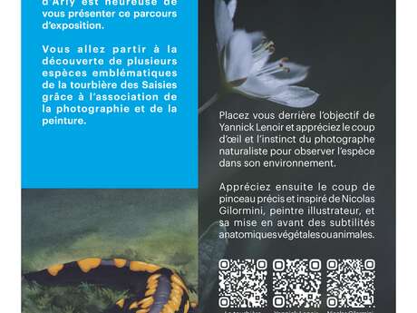 Visit to the "Details of the Living" exhibition at Lachat