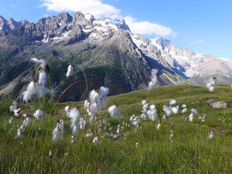 Geology / Glaciology" discovery walk with the Bureau des Guides