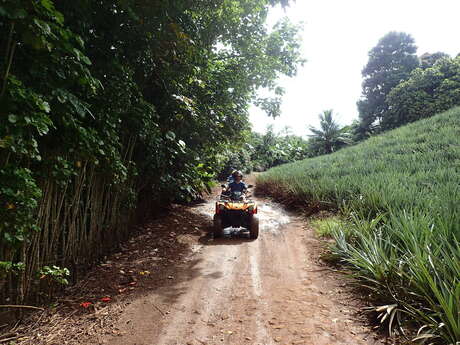 Moorea Activities Center – Quad / Atv Tours