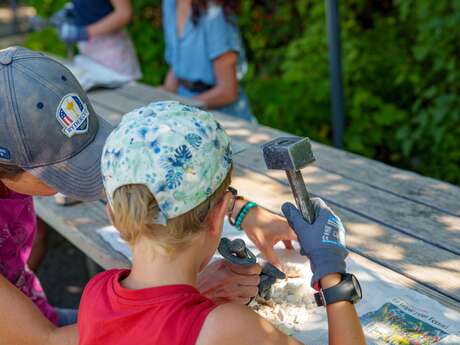 Enquête animée : Le village aux ammonites