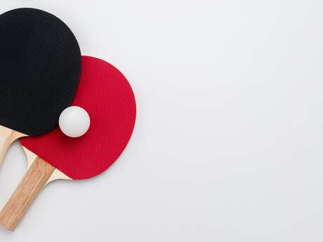 Tournoi de Tennis de Table