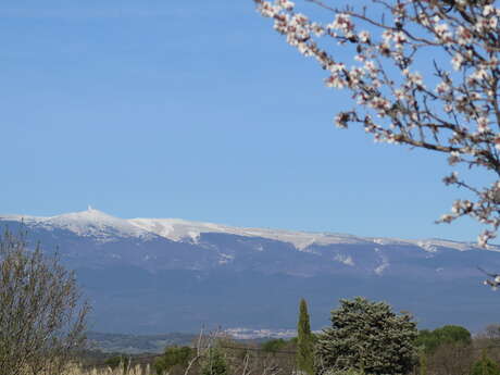 CIRCUIT VÉLO Pernes les Fontaines - 9 km - n°1