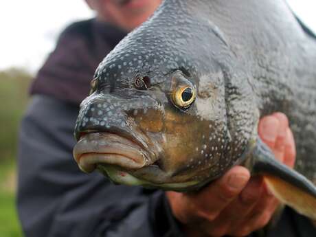 Concours de pêche régional