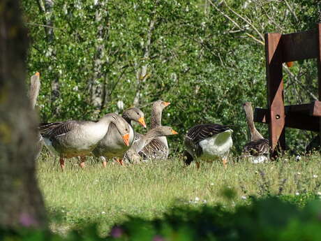 Fête de la Nature : partez en Mission Nature au parc de la Lère