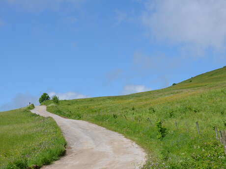 Parcours soft : Le Plateau des Glières