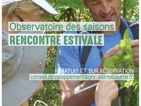 #RDVduParc • Observatoire des saisons, rencontre estivale
