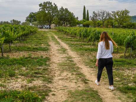 Itinéraire pédestre "Sentier des Vignerons"