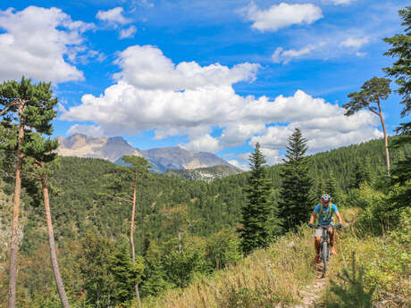 N°23 (Noir) - Pierrefeu et Cuberselle