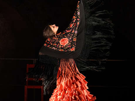 Día de luto - Spectacle flamenco