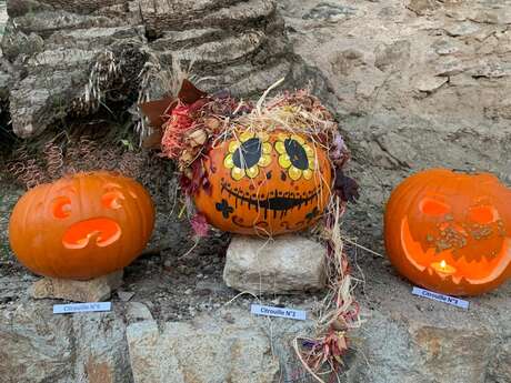 Halloween - Wahl des schönsten Tropez-Kürbisses 2025