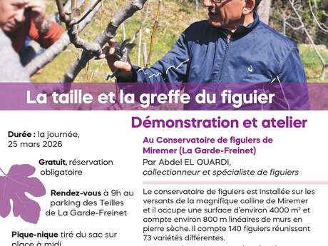 Innesto del fico, giornata a Miremer
