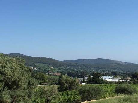 Insolite Wine Tour: Visite apéritive