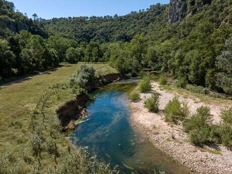 Balade nature commentée : explorez les facettes du Vallon Sourn