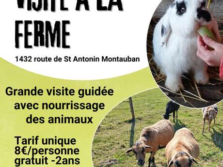 Visite guidée à la ferme animalière des Pibouls