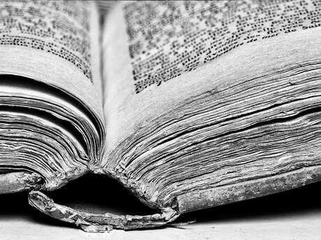 Capsule de printemps : "Le livre de votre vie"