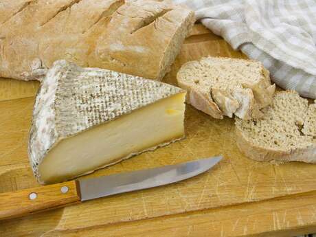Conference – Quite a Cheese!