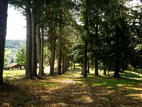 Parcours Trail Belmont 25 km