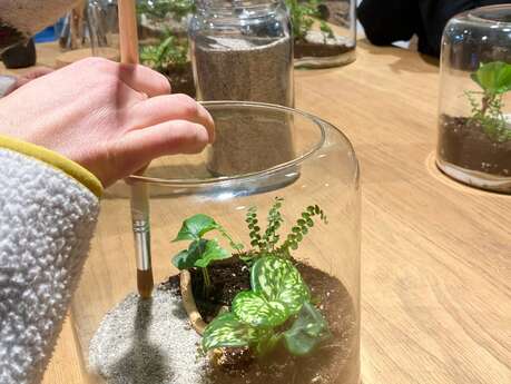Créer mon terrarium -Atelier végétal